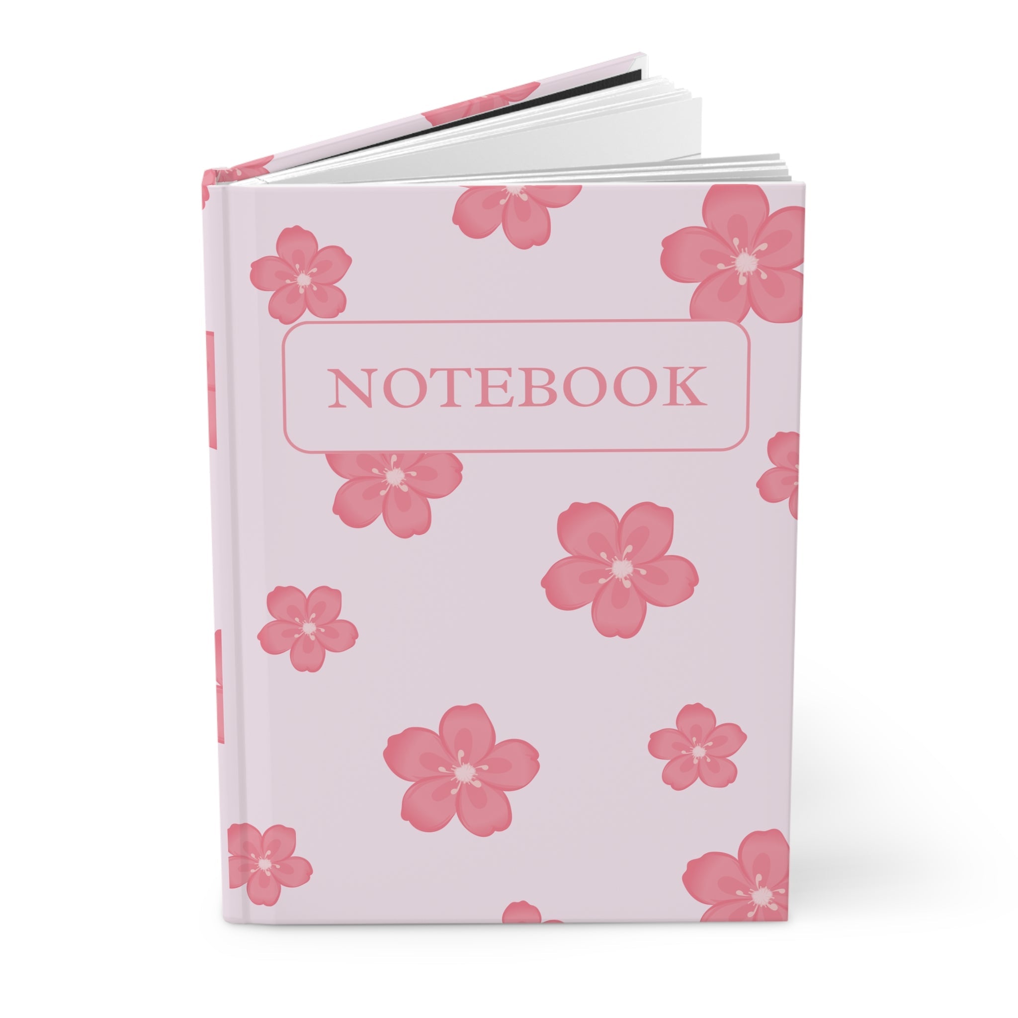 Notebooks/Journals